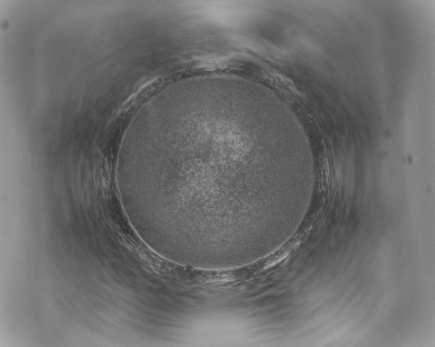 X0000070371158200606161310