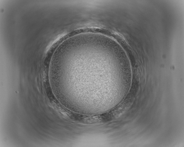 X0000070371159200606161310