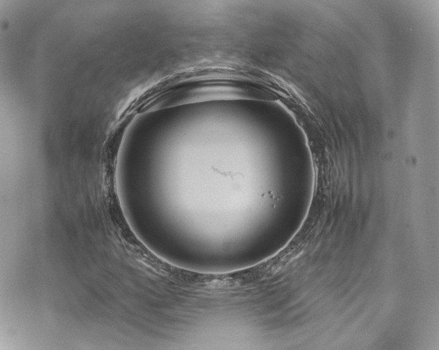 X0000070371160200606161310