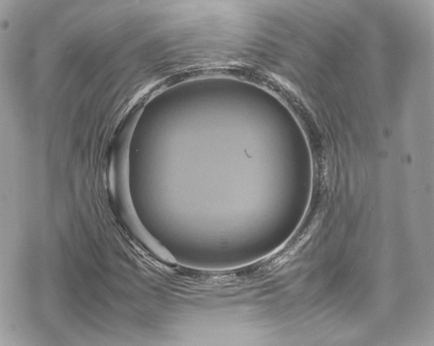 X0000070371161200606161310