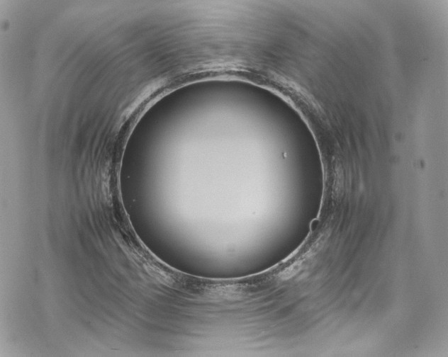 X0000070371162200606161309