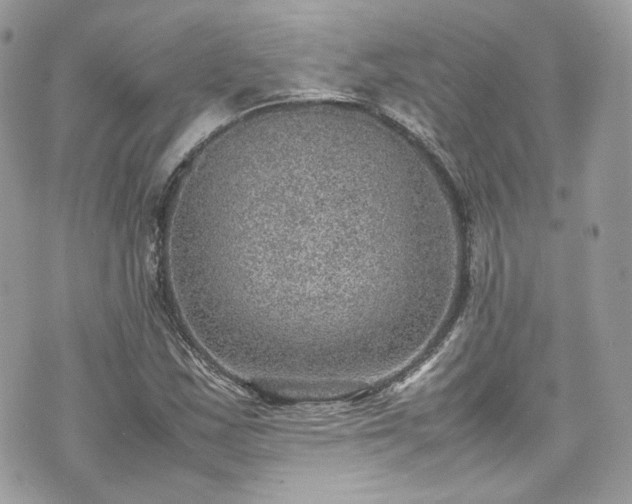 X0000070371163200606161309