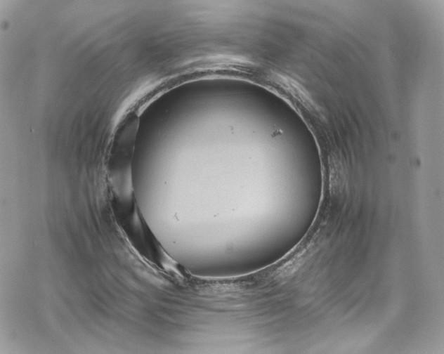 X0000070371164200606161309