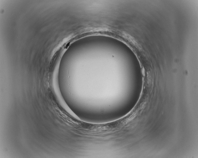 X0000070371165200606161309