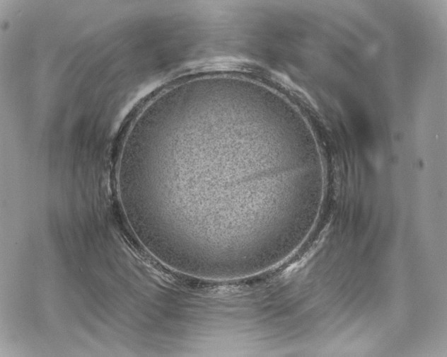 X0000070371166200606161309