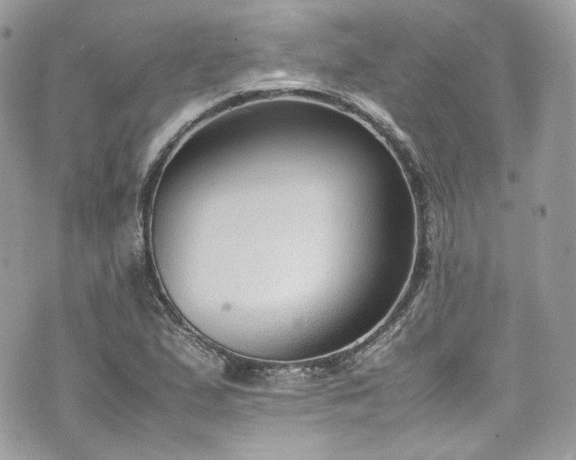 X0000070371167200606161309