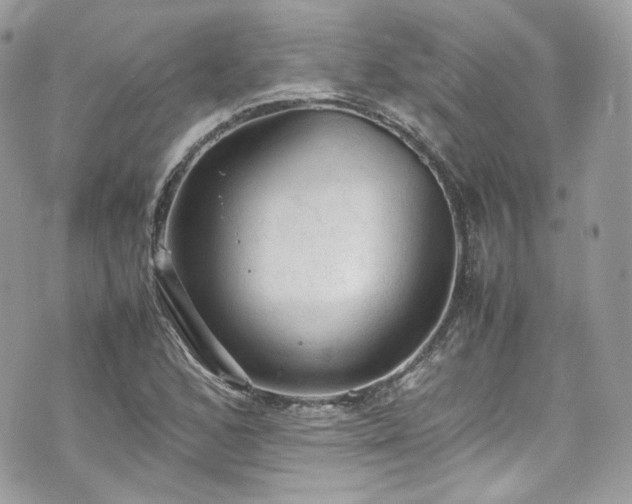 X0000070371168200606161309