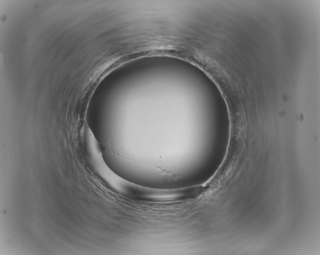 X0000070371169200606161309