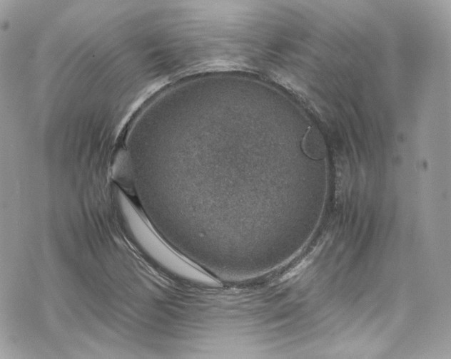 X0000070371170200606161309