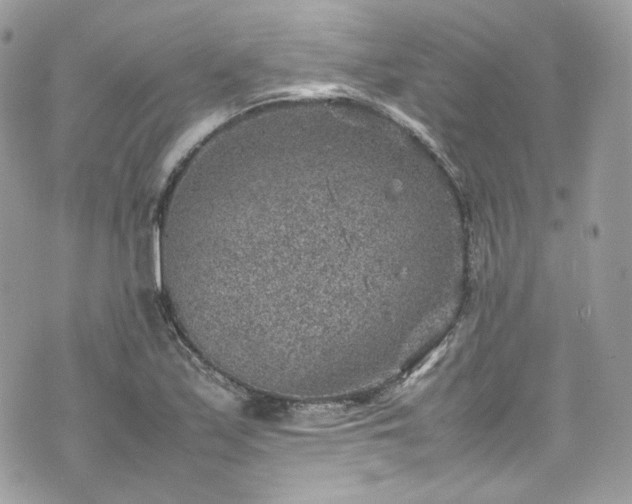 X0000070371171200606161309