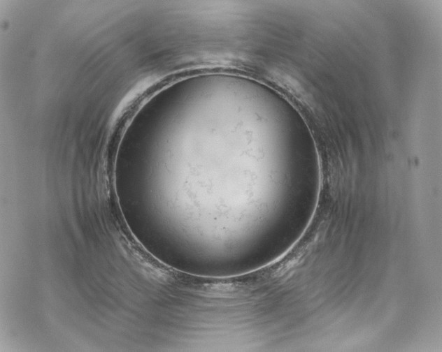 X0000070371172200606161309