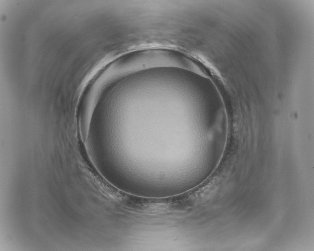 X0000070371173200606161309