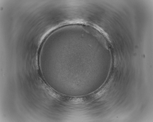 X0000070371174200606161309