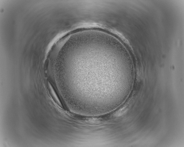 X0000070371175200606161309