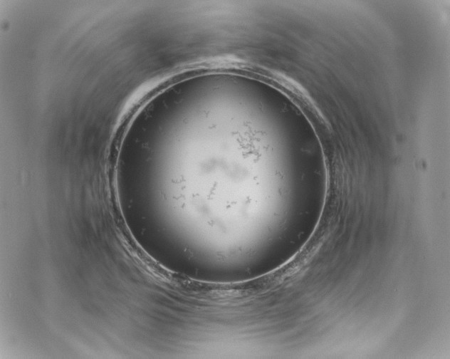 X0000070371176200606161309