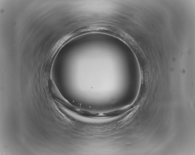 X0000070371177200606161309