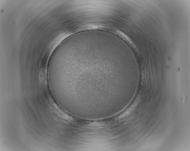 X0000070371178200606161309