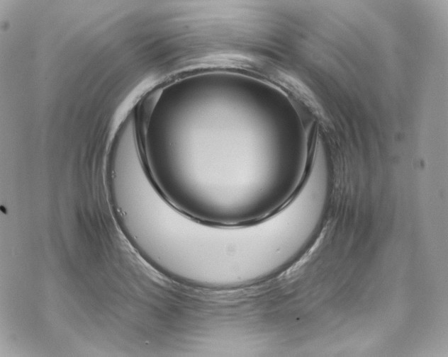 X0000070371180200606161309