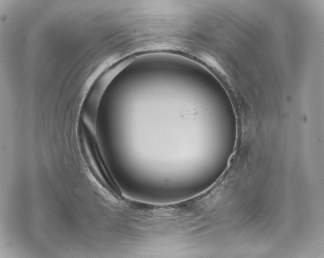 X0000070371181200606161309