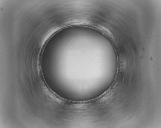 X0000070371182200606161309