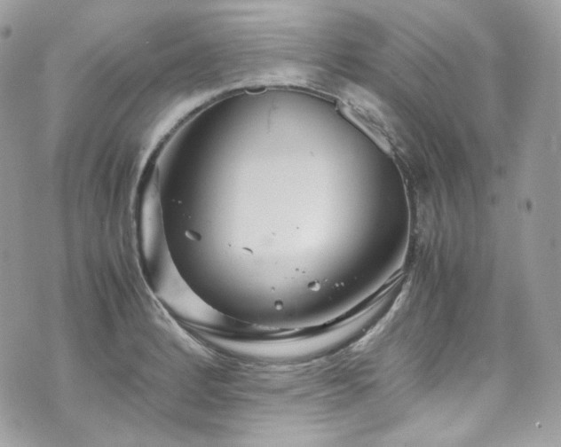 X0000070371184200606161309