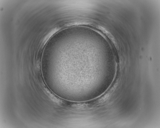 X0000070371185200606161309