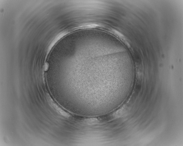 X0000070371186200606161309