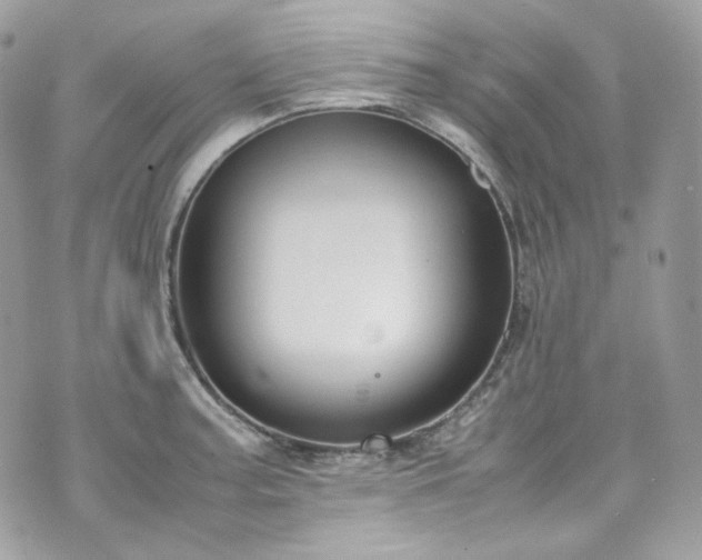 X0000070371187200606161309