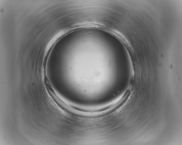 X0000070371188200606161309