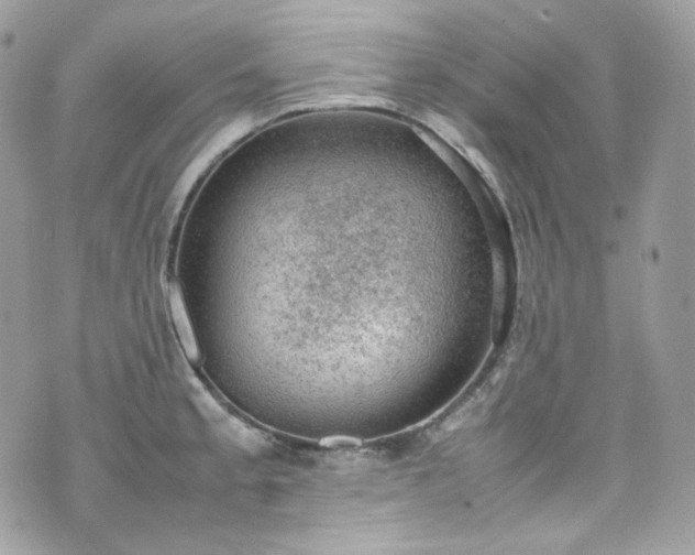 X0000070371189200606161309