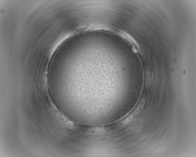 X0000070371190200606161309