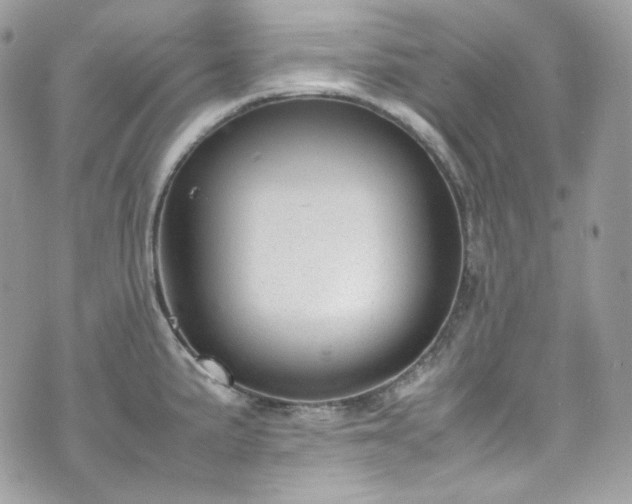 X0000070371191200606161309