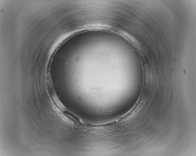 X0000070371192200606161309