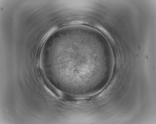 X0000070371193200606161309