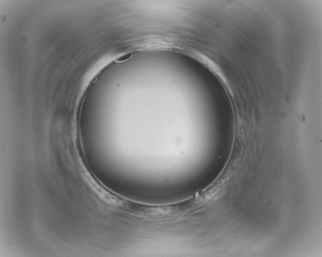 X0000070371195200606161309