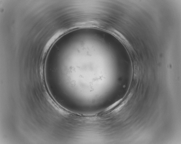 X0000070371196200606161309