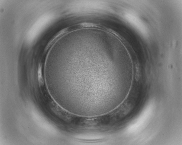 X0000070371198200606161309