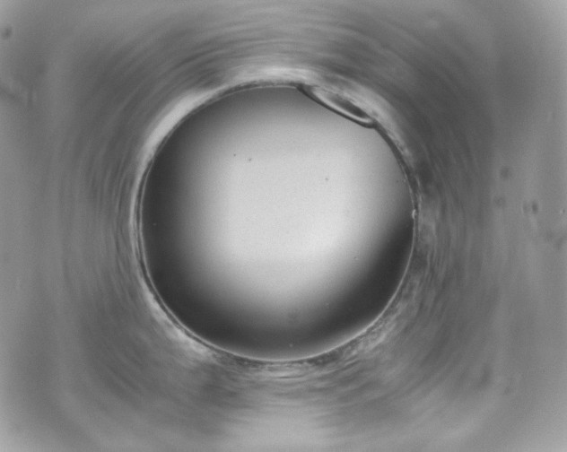 X0000070371199200606161309