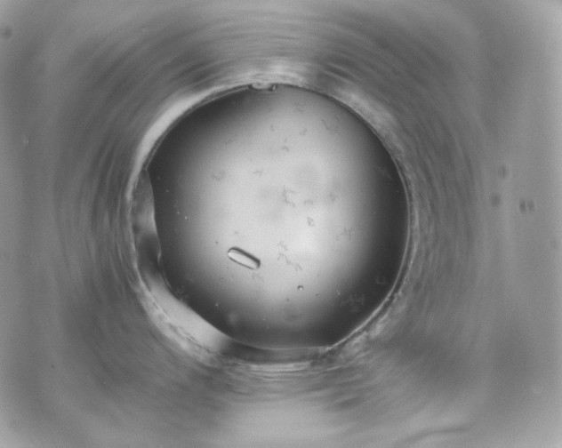 X0000070371200200606161309