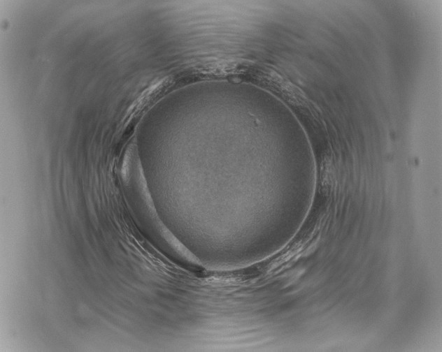 X0000070371202200606161308