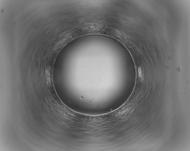 X0000070371203200606161308