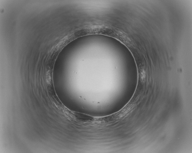 X0000070371204200606161308