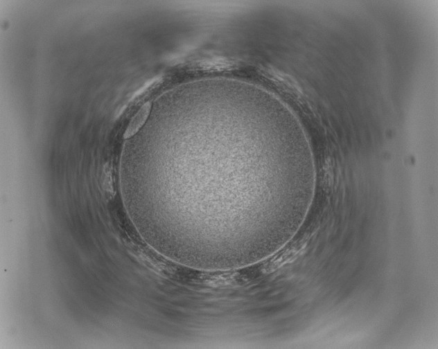 X0000070371205200606161308