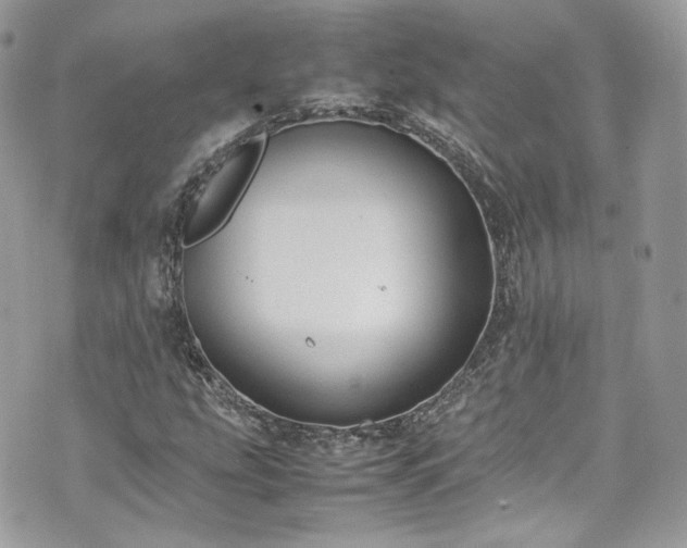 X0000070371207200606161308