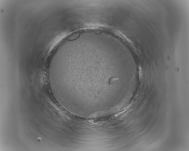 X0000070371208200606161308