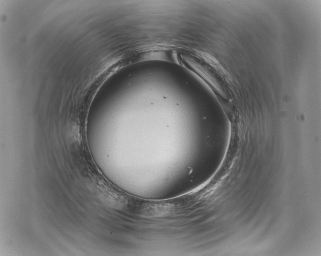 X0000070371209200606161308