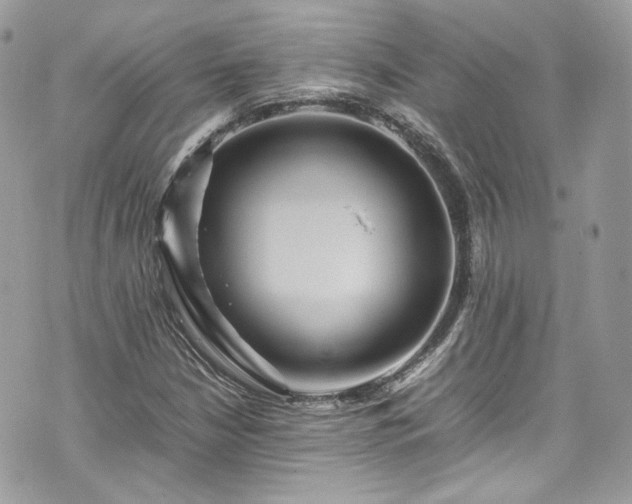 X0000070371210200606161308