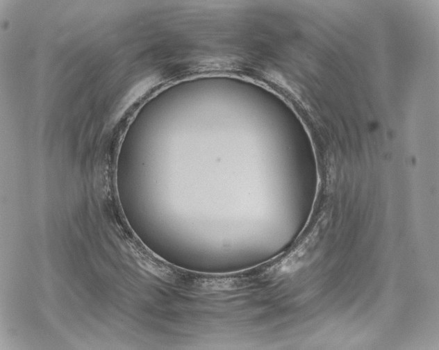 X0000070371211200606161308