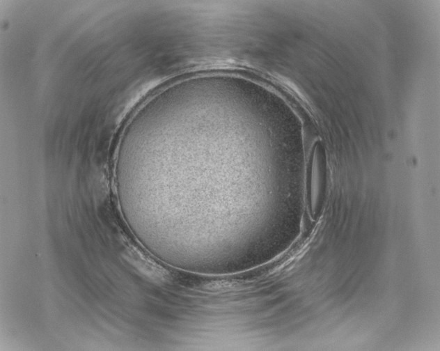 X0000070371212200606161308