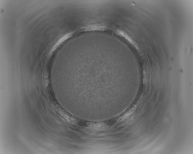 X0000070371213200606161308